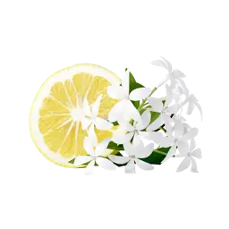 Citron | Jasmin